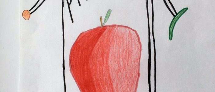 Ivars Ivulāns (Ludzas pilsētas ģimnāzija, 5.klase) Ivars Ivulāns (Ludzas pilsētas ģimnāzija, 5.klase)