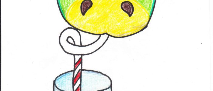 Kaspars Sārs (Liepnas vidusskola, 8.klase) Kaspars Sārs (Liepnas vidusskola, 8.klase)
