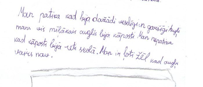 3.c-1 - Copy Radošais darbs