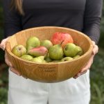 koka bļoda ar āboliem un bumbieriem, kuru tur rokās